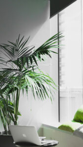 Alesia Kazantceva Unsplash Wallpaper Alesia Kazantceva Unsplash Wallpaper
