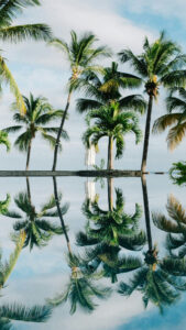 Dan Freeman Unsplash Dan Freeman Unsplash