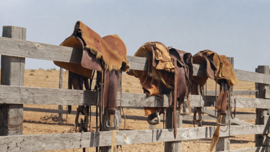 Saddles Montana 1930s Saddles Montana 1930s