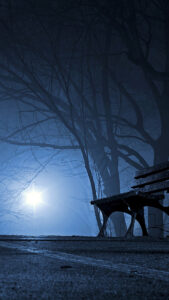 Park Bench Unsplash Wallpaper Park Bench Unsplash Wallpaper