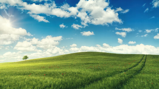 Summer Time Wallpaper Jlenio Field Summer Time Wallpaper Jlenio Field
