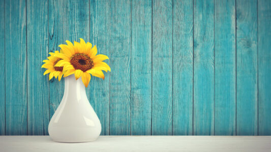 Summer Time Wall Paper Sunflowers Yuri B Summer Time Wall Paper Sunflowers Yuri B